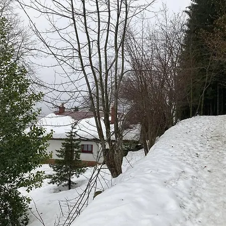 Maison D'altitude Avec Vue Panoramique A * ג'רארדמר