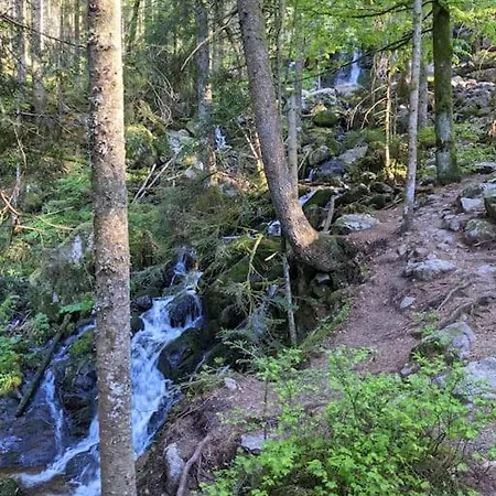 Maison D'altitude Avec Vue Panoramique A Gérardmer